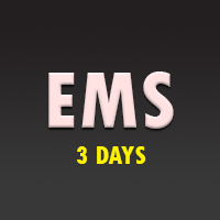 EMS2